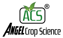 ANGEL CROP SCIENCE